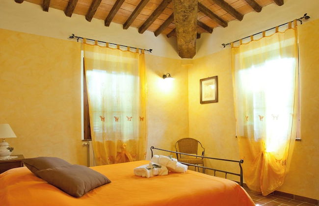 Fattoria Fibbiano - Photo 33