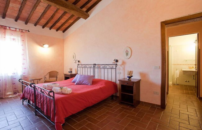 Fattoria Fibbiano - Photo 15