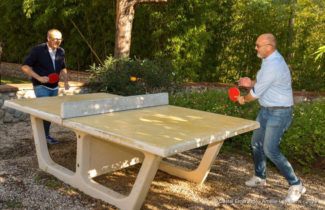 Appart'Hotel Castel Emeraude - Foto 43
