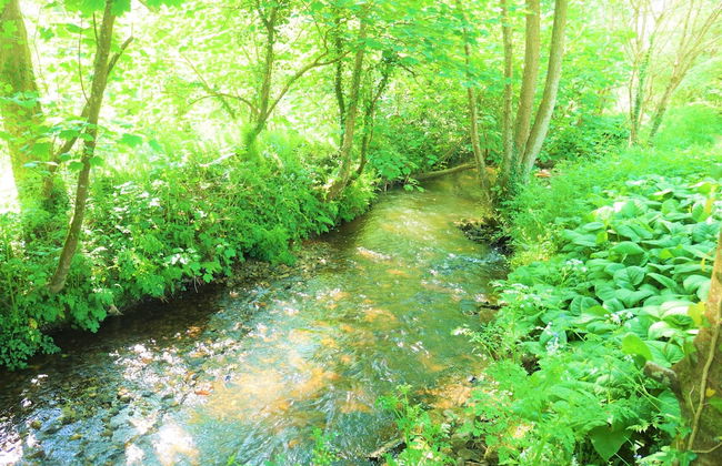 The Duchy Barn at Tregoose Old Mill - Foto 14