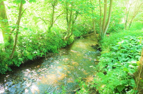 Photo 18 - The Hideaway & Spa Terrace at Tregoose Old Mill