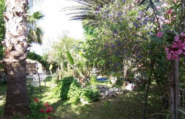 Villa Poseidon Apartments - Photo 29