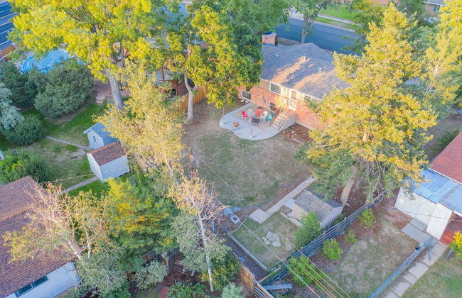 4BD Palmer Park Trails & Space - Photo 39