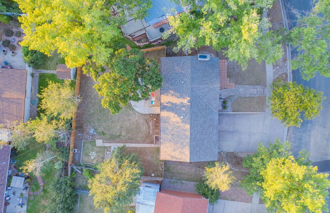 4BD Palmer Park Trails & Space - Photo 44