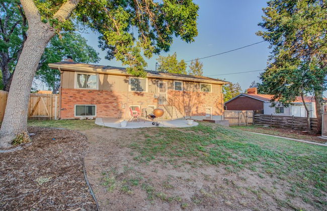 Palmer Park Trails & Space 4 Bdrm Cntrl Location - Photo 52