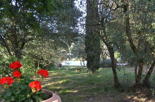 Photo 27 - Characteristic Cottage in the Tuscan Hills