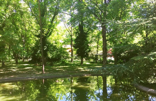 Serendip - Photo 31