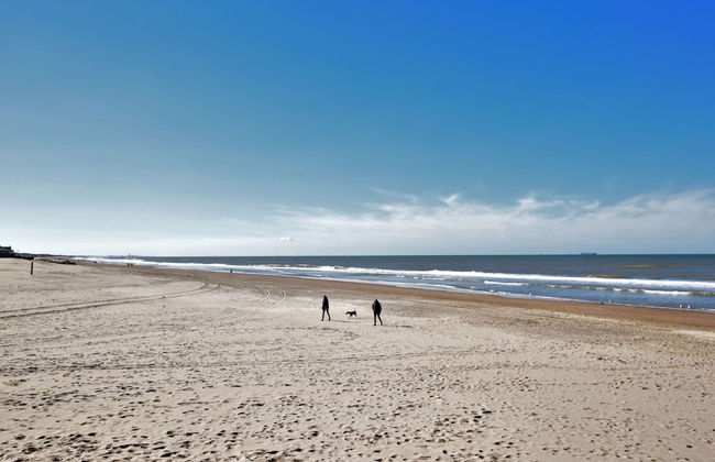 Relax in Your Holiday Home With Sauna, Near the Beach of Noordwijk - Foto 30