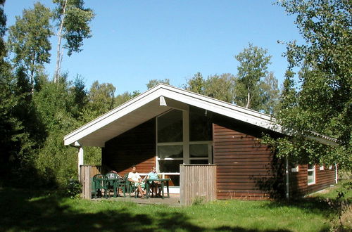 Foto 1 - Beautiful Holiday Home in Hasle Near Sea