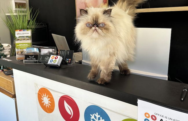 All Seasons Mansfield - Foto 4