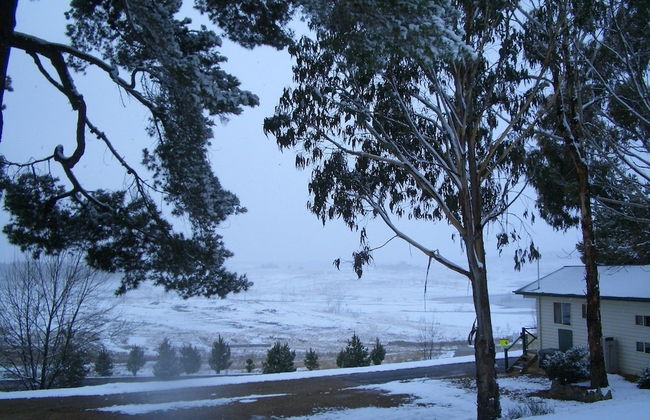 Rainbow Pines Tourist Caravan Park - Foto 24