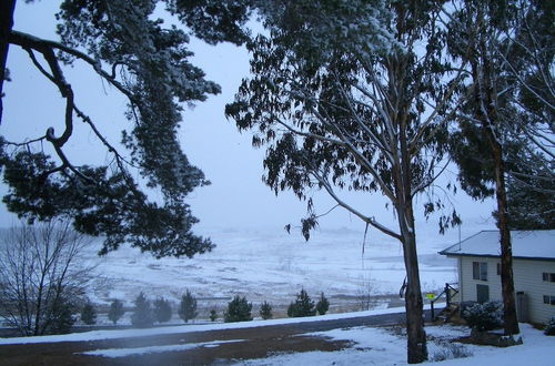 Photo 24 - Rainbow Pines Tourist Caravan Park