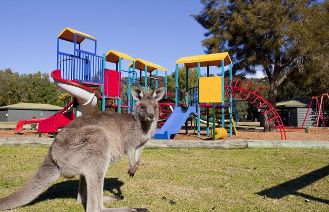 NRMA Murramarang Beachfront Holiday Resort - Foto 75