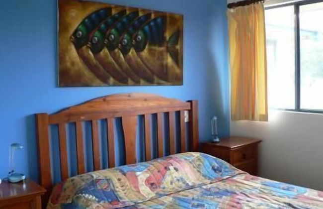 Dolphin Waters Tin Can Bay - Foto 14