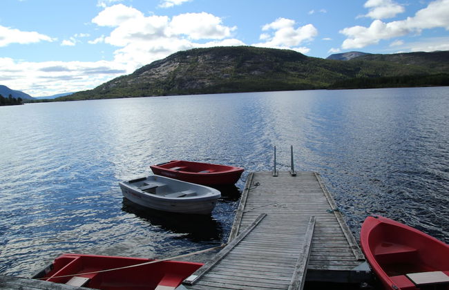 Vrådal Hyttegrend - Photo 15