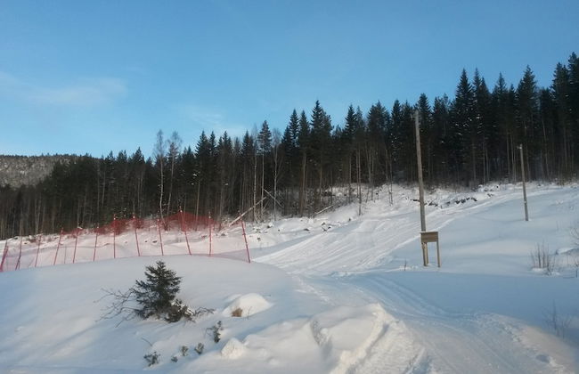 Vrådal Hyttegrend - Photo 8