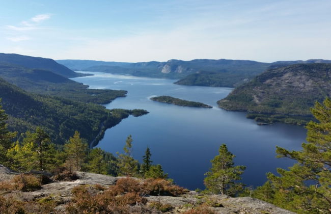 Vrådal Hyttegrend - Photo 9