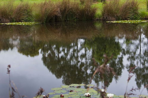 Photo 19 - Tyenna River Cottage