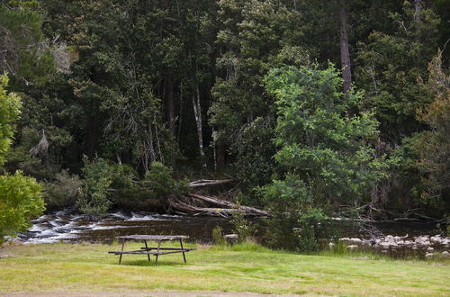 Photo 17 - Tyenna River Cottage