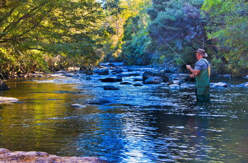 Photo 6 - Tyenna River Cottage