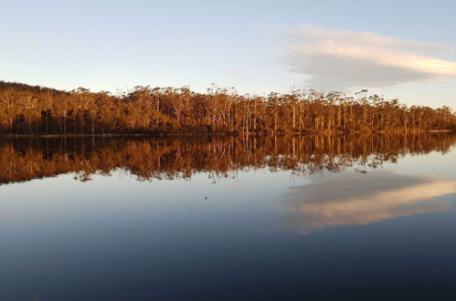 Photo 26 - Lake Yalleena Nature Retreat