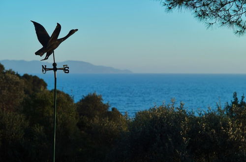 Photo 42 - Villa Maremma Mare Magical Historic Villa With Pool on Tuscany Coast