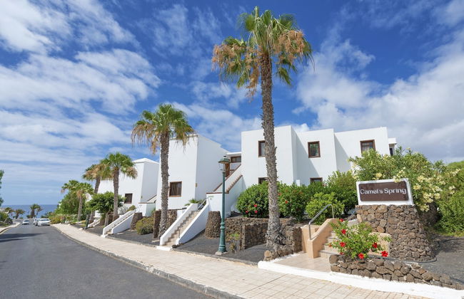 Apartamentos Camels Spring - Photo 44