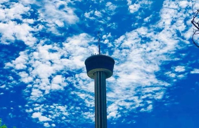 Cozy Remodeled 2br 1ba Near Downtown - Photo 32