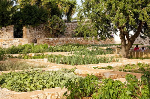 Foto 47 - Masseria Gianferrante