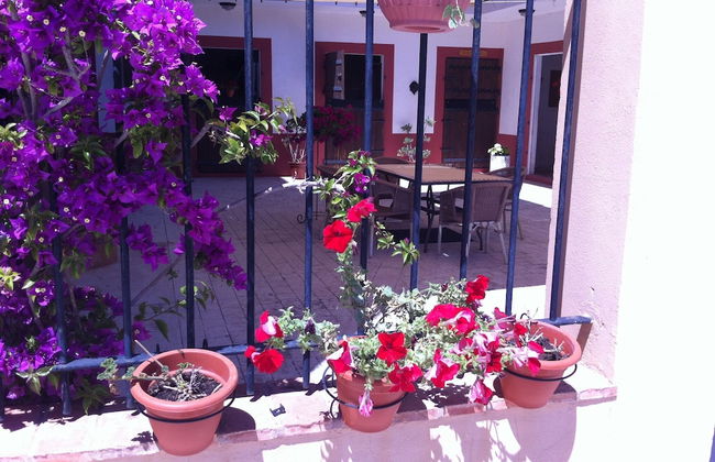 Masia de Matuta - Foto 33