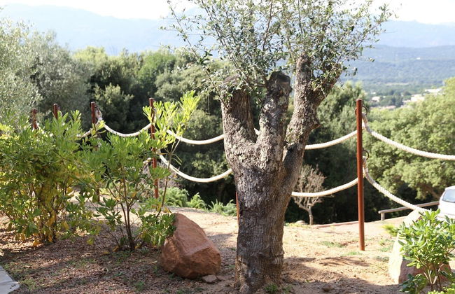 Residence a Licetta - Foto 46