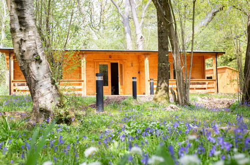 Photo 30 - Grey Owl Cabin