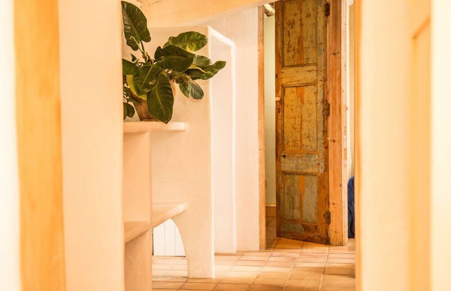Mas Nur Sitges - Foto 35