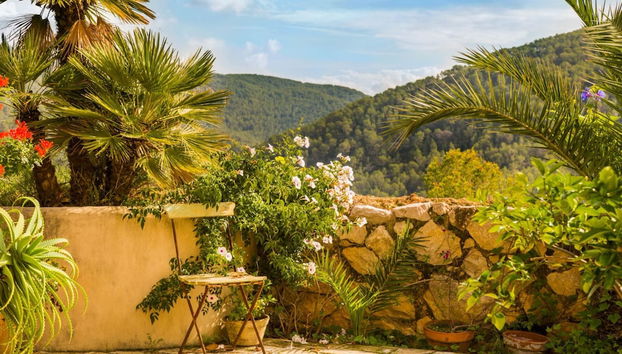 Terraço/pátio interior