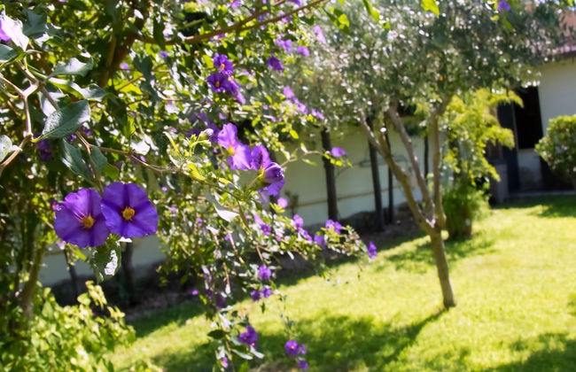 A Casa tua Ostia Antica - Foto 16