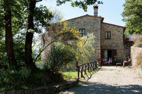 Foto 50 - Agriturismo Azienda Agricola il Pozzo