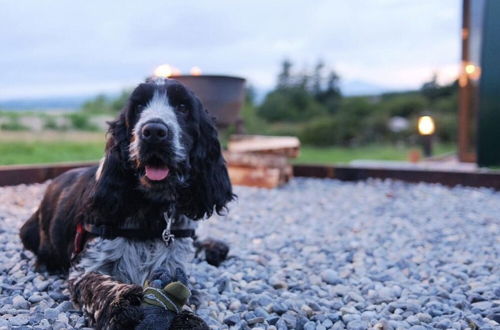 Photo 12 - Forth Mountain Glamping