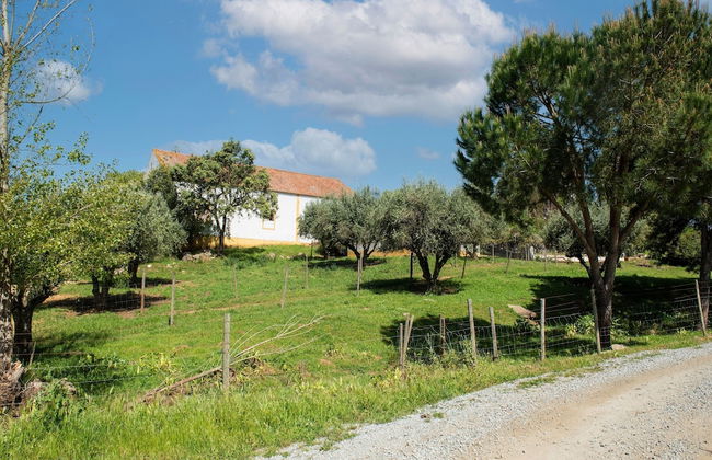 Rustic Alentejo Farmhouse With Pool - Foto 35