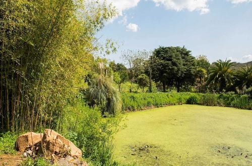 Photo 26 - Idyllic Farmhouse in Montemor-o-novo With Pool