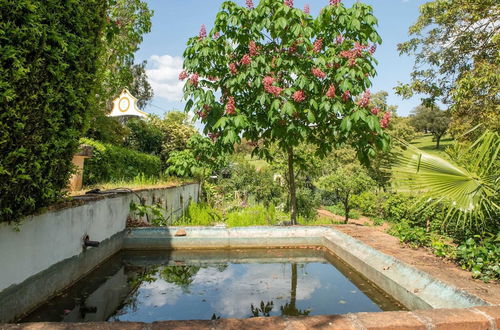 Photo 18 - Idyllic Farmhouse in Montemor-o-novo With Pool