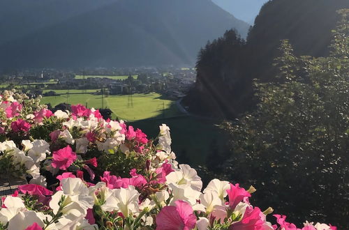 Photo 35 - Apartment Between Mayrhofen and Finkenberg