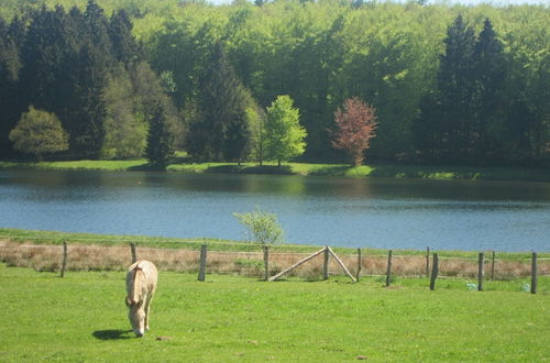 Photo 25 - Luxury Pet Friendly Chalet in Bièvre near Forest