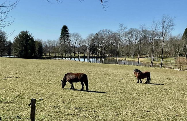Green Hillside Apartment - Photo 37