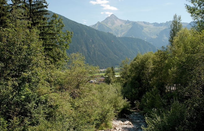 Apartment in Ramsau Near Ski Bus - Foto 33