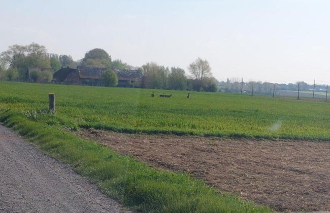 Country House in Poperinge Near WWI Sites - Foto 39