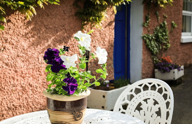 2 Bedroom Cottage Wisteria Cottage in Ballyconnell - Foto 25