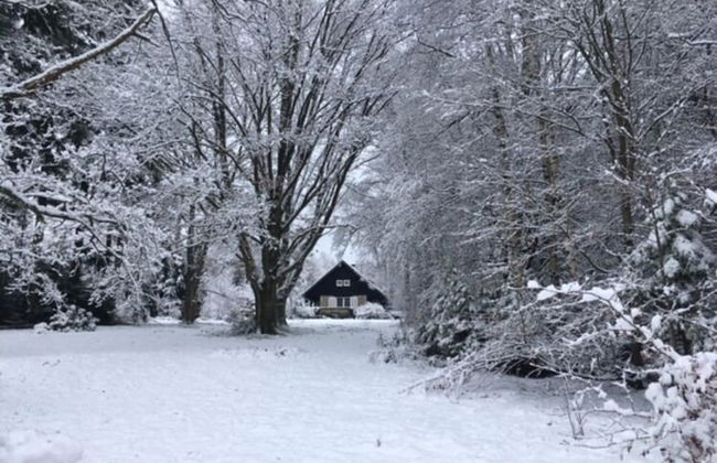 Large Hunting Lodge With Enormous Beautiful Garden - Foto 24