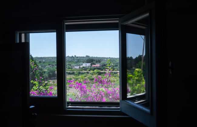 Masseria Montepaolo - Photo 41