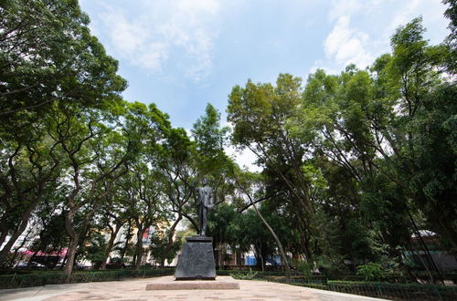 Photo 14 - New Park Front Terrace Apt Near Polanco