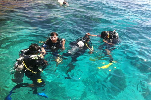 Photo 38 - Shark Bay Oasis